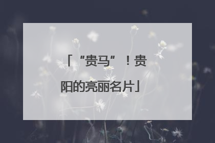 “贵马”！贵阳的亮丽名片
