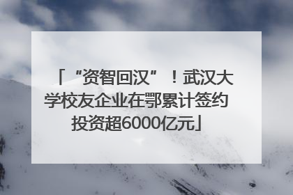 “资智回汉”！武汉大学校友企业在鄂累计签约投资超6000亿元