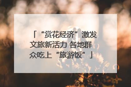 “赏花经济”激发文旅新活力 各地群众吃上“旅游饭”