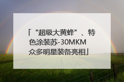 “超级大黄蜂”、特色涂装苏-30MKM 众多明星装备亮相