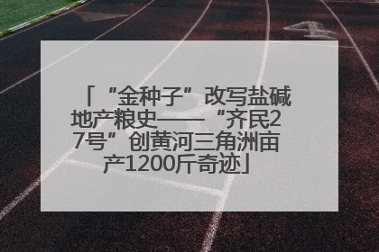 “金种子”改写盐碱地产粮史——“齐民27号”创黄河三角洲亩产1200斤奇迹