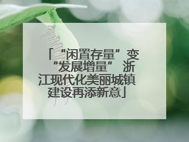 “闲置存量”变“发展增量” 浙江现代化美丽城镇建设再添新意