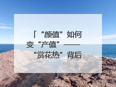“颜值”如何变“产值”——“赏花热”背后的产业图谱