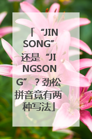 “JINSONG”还是“JINGSONG”？劲松拼音竟有两种写法