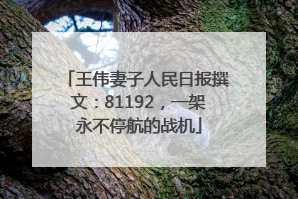 王伟妻子人民日报撰文：81192，一架永不停航的战机