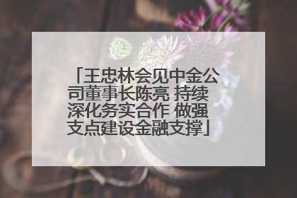 王忠林会见中金公司董事长陈亮 持续深化务实合作 做强支点建设金融支撑