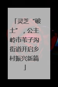 灵芝“破土”，公主岭市苇子沟街道开启乡村振兴新篇
