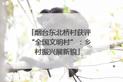 烟台东北桥村获评“全国文明村”：乡村振兴展新貌