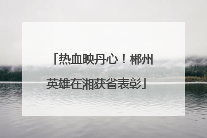 热血映丹心！郴州英雄在湘获省表彰
