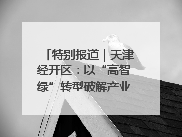特别报道｜天津经开区：以“高智绿”转型破解产业升级压力