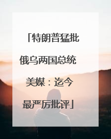 特朗普猛批俄乌两国总统 美媒：迄今最严厉批评