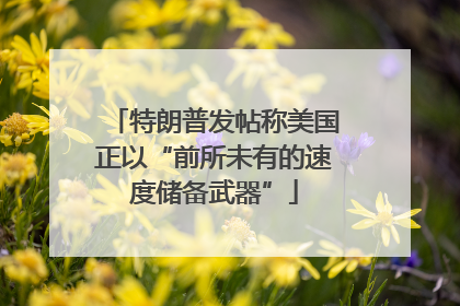 特朗普发帖称美国正以“前所未有的速度储备武器”