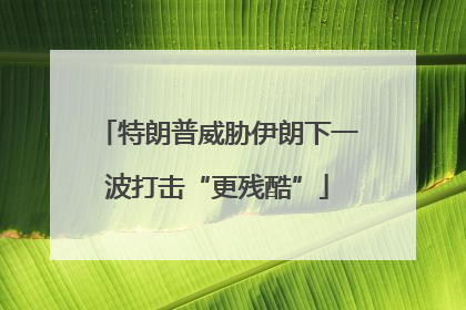 特朗普威胁伊朗下一波打击“更残酷”
