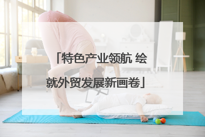 特色产业领航 绘就外贸发展新画卷