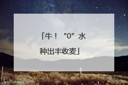 牛！“0”水种出丰收麦