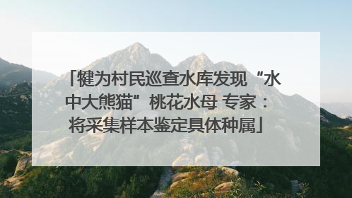 犍为村民巡查水库发现“水中大熊猫”桃花水母 专家：将采集样本鉴定具体种属