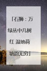 石狮：万绿丛中几树红 湿地荷塘韵无穷