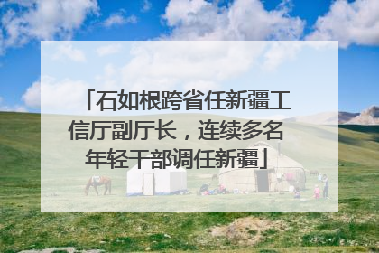 石如根跨省任新疆工信厅副厅长，连续多名年轻干部调任新疆