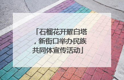 石榴花开耀白塔，新街口举办民族共同体宣传活动