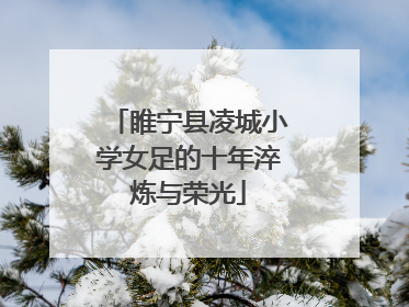 睢宁县凌城小学女足的十年淬炼与荣光