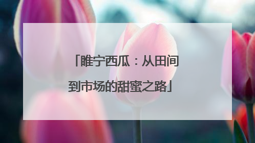 睢宁西瓜：从田间到市场的甜蜜之路