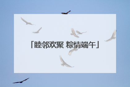 睦邻欢聚 粽情端午