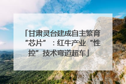 甘肃灵台建成自主繁育“芯片”：红牛产业“性控”技术弯道超车