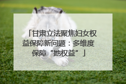 甘肃立法聚焦妇女权益保障新问题：多维度保障“她权益”