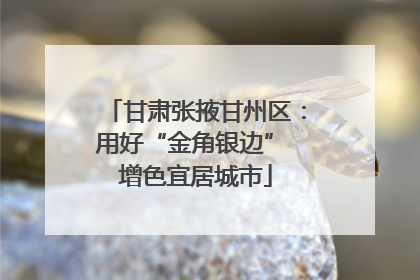 甘肃张掖甘州区：用好“金角银边” 增色宜居城市