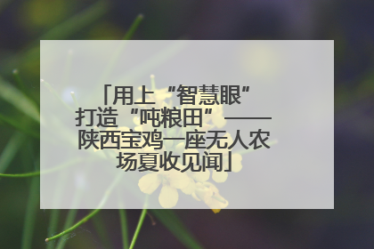 用上“智慧眼” 打造“吨粮田”——陕西宝鸡一座无人农场夏收见闻