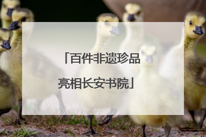 百件非遗珍品亮相长安书院