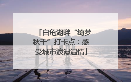 白龟湖畔“绮梦秋千”打卡点：感受城市浪漫温情