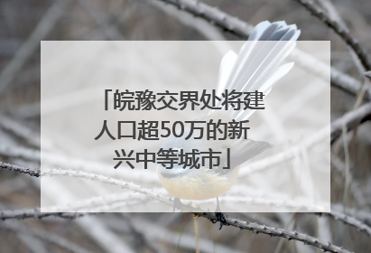 皖豫交界处将建人口超50万的新兴中等城市