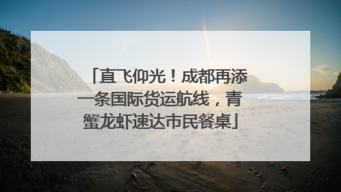 直飞仰光！成都再添一条国际货运航线，青蟹龙虾速达市民餐桌