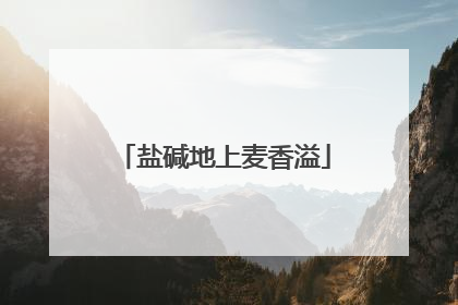 盐碱地上麦香溢