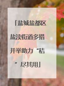 盐城盐都区盐渎街道多措并举助力“秸”尽其用