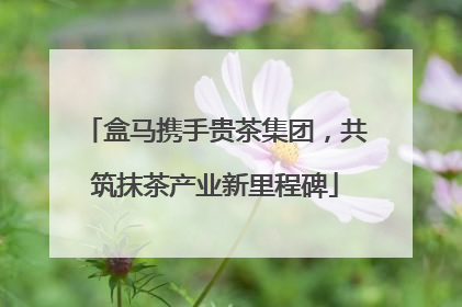盒马携手贵茶集团，共筑抹茶产业新里程碑