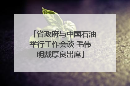 省政府与中国石油举行工作会谈 毛伟明戴厚良出席