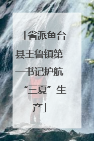 省派鱼台县王鲁镇第一书记护航“三夏”生产