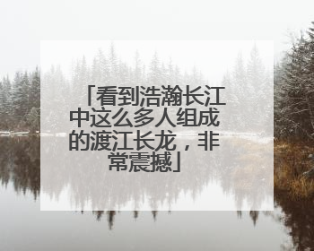 看到浩瀚长江中这么多人组成的渡江长龙，非常震撼