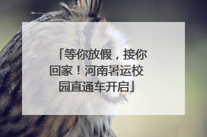 等你放假，接你回家！河南暑运校园直通车开启
