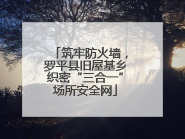 筑牢防火墙，罗平县旧屋基乡织密“三合一”场所安全网