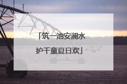 筑一池安澜水 护千童夏日欢