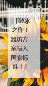 破冰之作！潍坊方案写入国家标准！