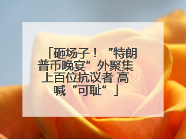 砸场子！“特朗普币晚宴”外聚集上百位抗议者 高喊“可耻”