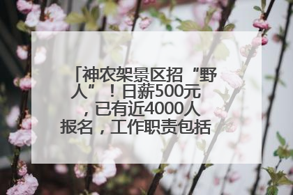 神农架景区招“野人”！日薪500元，已有近4000人报名，工作职责包括“接受游客投喂”