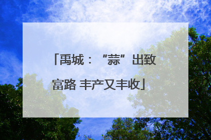 禹城：“蒜”出致富路 丰产又丰收