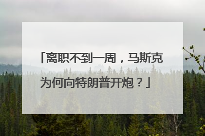 离职不到一周，马斯克为何向特朗普开炮？