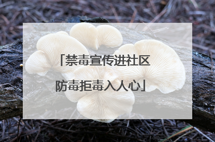 禁毒宣传进社区 防毒拒毒入人心