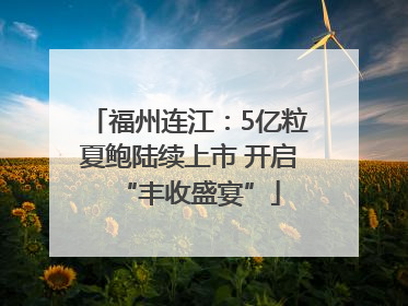 福州连江：5亿粒夏鲍陆续上市 开启“丰收盛宴”